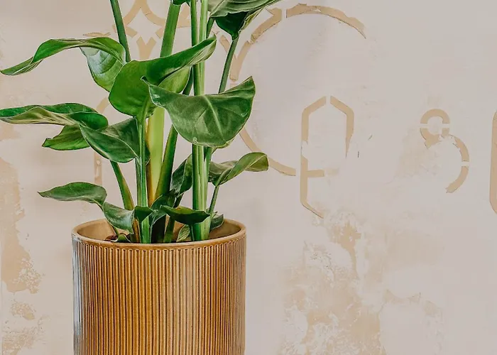 Waldblick 公寓 Wagerberg